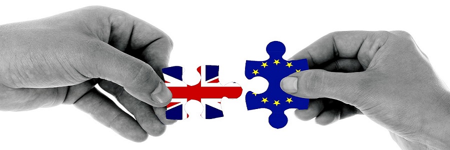 European puzzle pieces